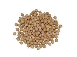 Garbanzo Pedrosillano ECO