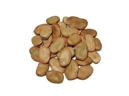 Habas Secas Habas Secas