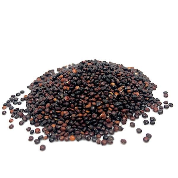 Quinoa Negra