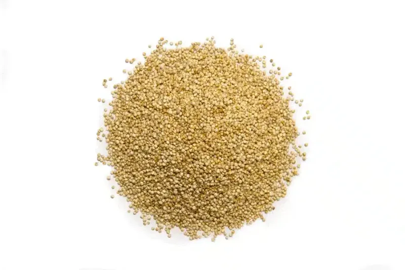 Quinoa Blanca