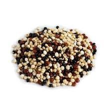 Quinoa Tricolor