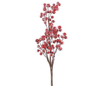 Red Iced Berry Pick