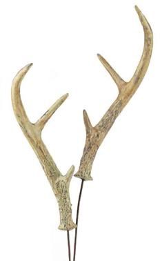 Antler Spray x 2