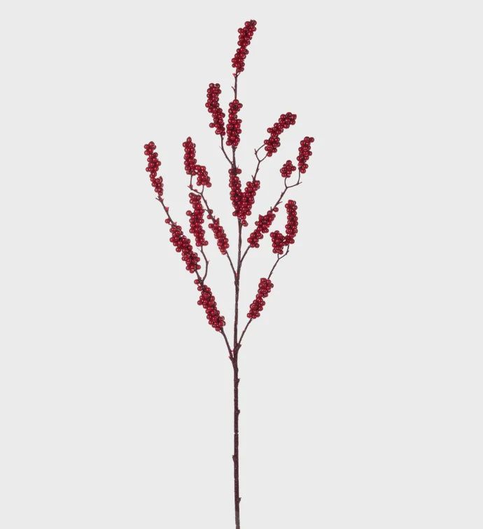 Red Berry Cluster Branch