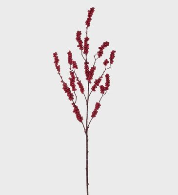 Red Berry Cluster Branch