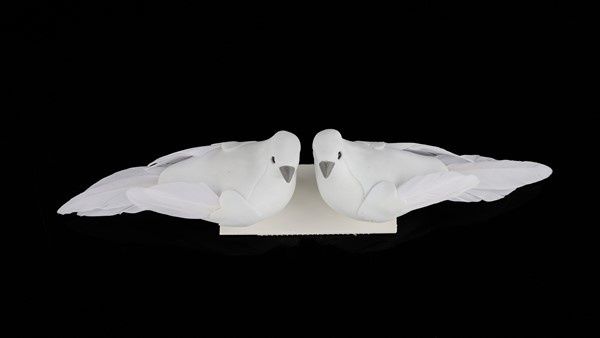 2 Asst 4.75"L White Feather Pigeon