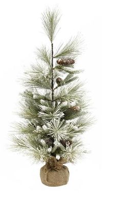 Frosted Mixed White Pine Tree
