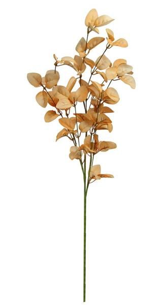 29"L Eva Rose Leaf Spray - Peach