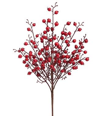 Red Berries on Branch ~ Small