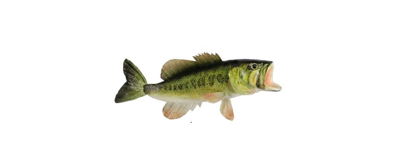 15"L Largemouth Bass