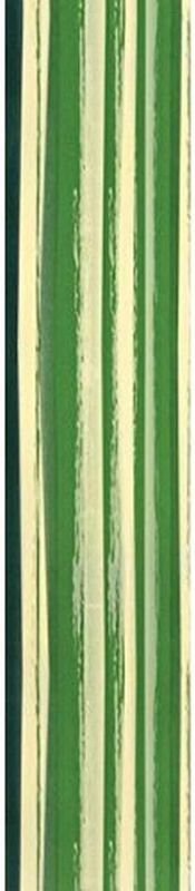 Tru-Life - Tropical Green/Yellow