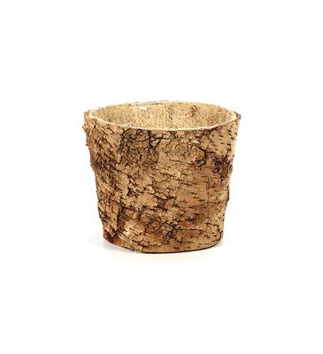 Medium Birch Planter
