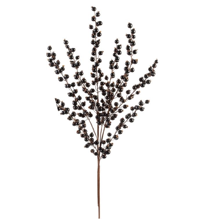 Black Glassy Berry Spray