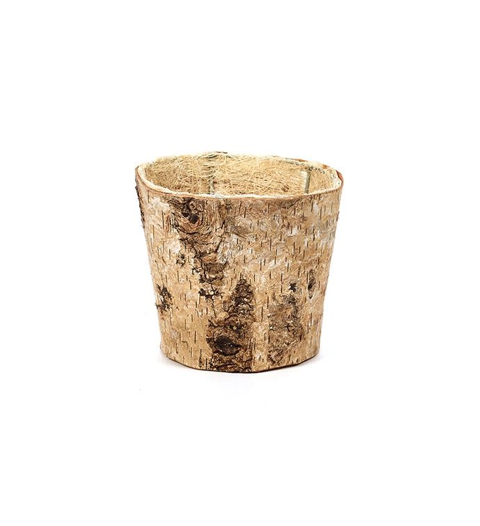 Small Birch Planter