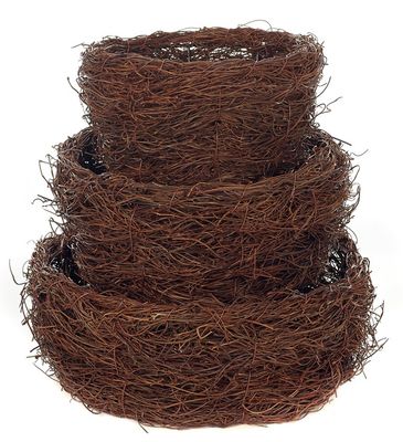 Bird Nest Dish Gardens, Set of 3