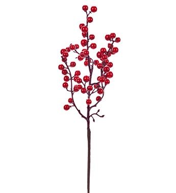 Red Berry Spike