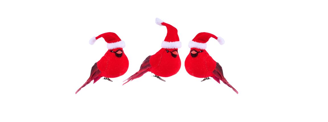 3 Asst 4"L Velvet/Feather Cardinal w/ Hats