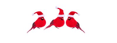 3 Asst 4"L Velvet/Feather Cardinal w/ Hats