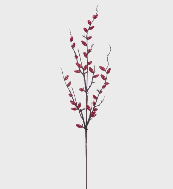 Red Oval Berry Spray