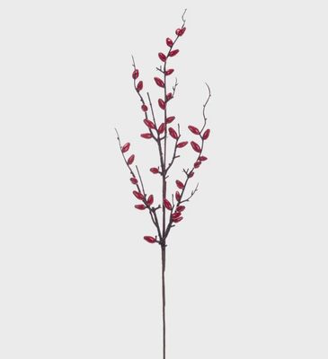 Red Oval Berry Spray