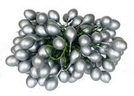 Silver Holly Berries - 5 Gross