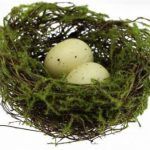 4" Angelvine/Flocked Birdnest