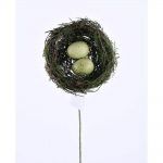 Nest With Egg