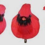 Chubby Feather Cardinals w/clip