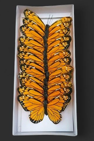 5" Orange Monarch