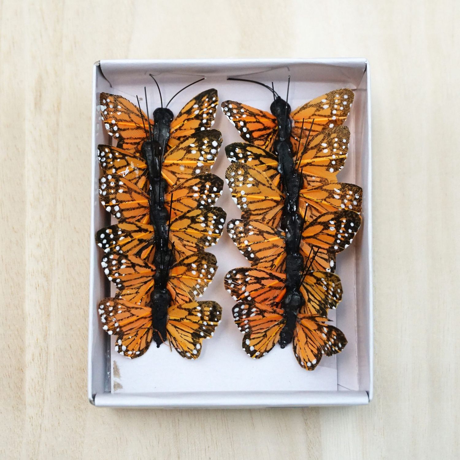 Monarch Butterfly 1"