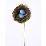 4" nest with Blue Eggs