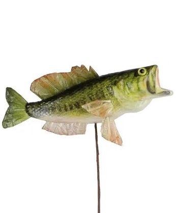 7" Bass on Pick