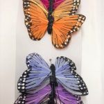 Garden Butterflies- Assorted