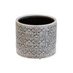 Grey Laser Sun Planter