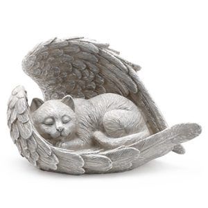 Sleeping Angel Cat