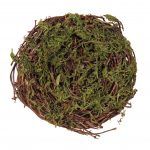 Angel Vine Bird Nest