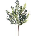 Blue Berry Cedar Pick