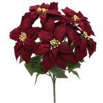 Large Burgundy Poinsettia Bush