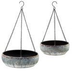 Hanging Dish Gardens S/2