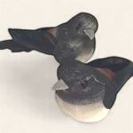 Towhee Bird 3 Styles