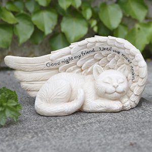 Cat on Wing