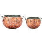 S/2 Pumpkin Dish Garden