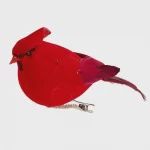 Small Cardinal with Clip