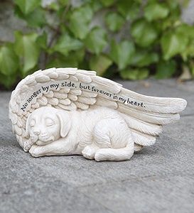 Dog on Wing