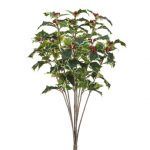 19" Variegated Holly Bush