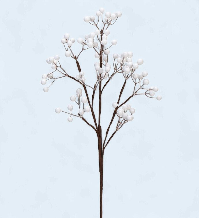 White Berry Pick