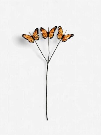 Orange Butterfly Spray 24"