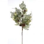 Juniper Cone Spray