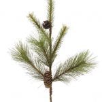 Mixed Pine /Pine Cone Spray