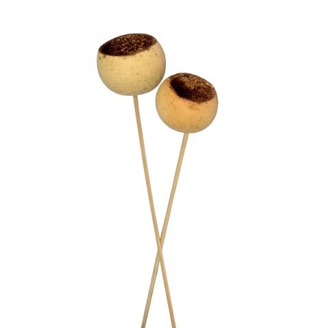 22" Bell Cup Pick - Natural
